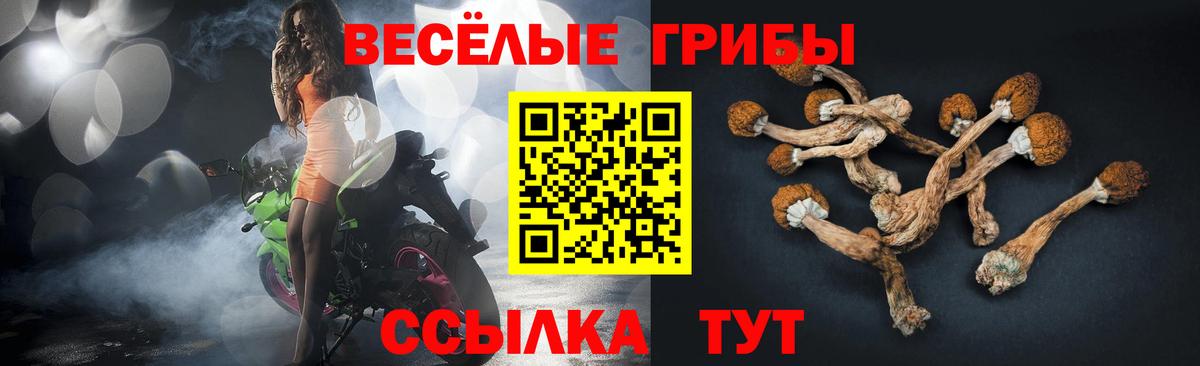 Псилоцибиновые грибы мицелий  Вход с VPN  Усинск 